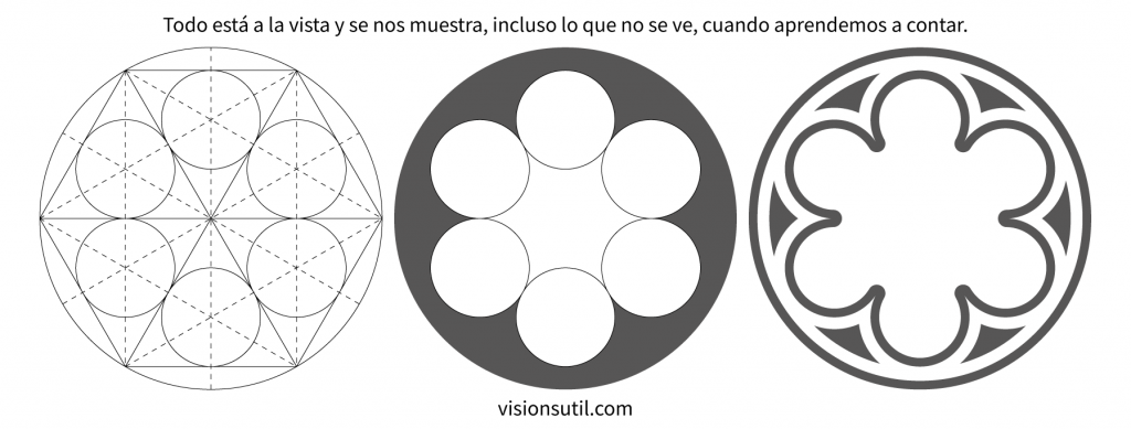 Secuencia geométrica del desarrollo de una flor de 6 lóbulos