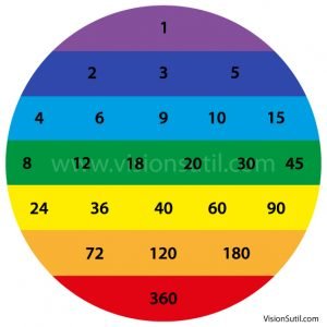 7 niveles de organización: compendio de elegancia e inteligencia