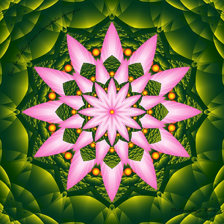 Mandala de VisiónSutil y nuevArmonía