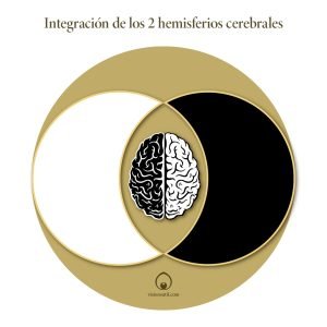 Vesica Piscis y la integración de los hemisferios cerebrales
