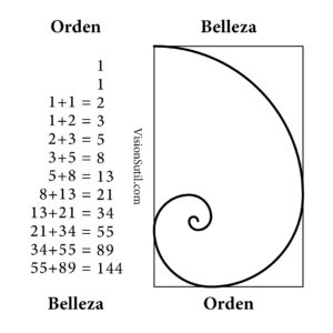 Secuencia Fibonacci y espiral áurea