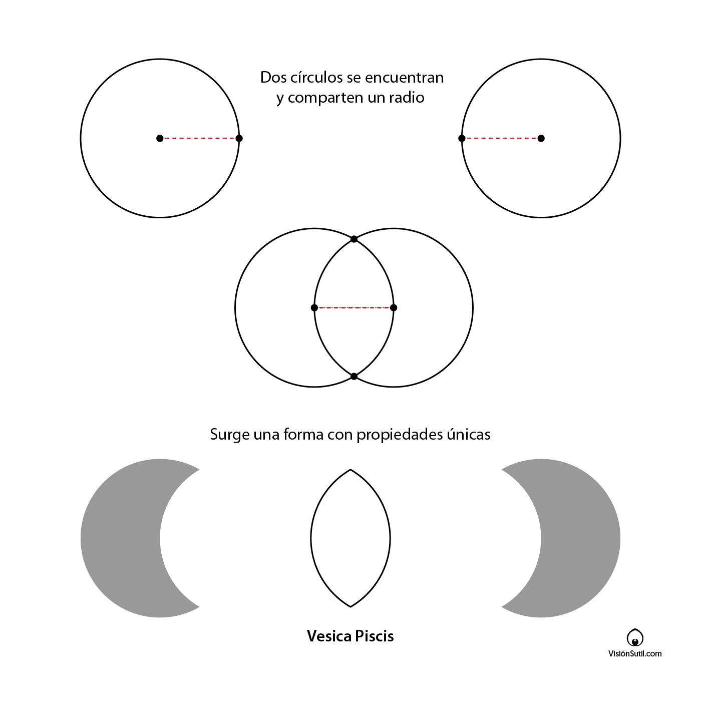 Construcción de la Vesica Piscis mediante dos circunferencias iguales que comparten un radio.